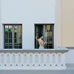 Apartman Volaka Luxury